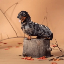 Piloto Lluvia Impermeable Ajustable Perro Star Wars Marvel TALLE M