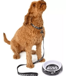 Set para Perros Marvel Star Wars Talle M