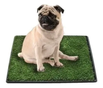 Pasto Sintetico Repuesto Green Pet Clasica 43cm x 68cm