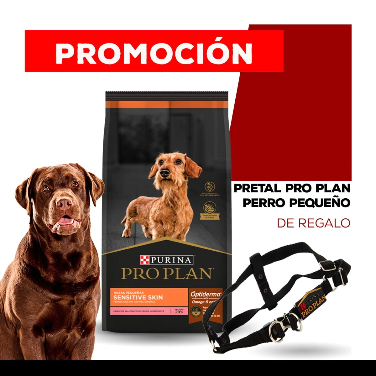Alimento Purina Pro Plan Perro Adulto Sensitive Skin Raza Peque�a x 7,5kg + PRETAL PEQUE�O PRO PLAN DE REGALO