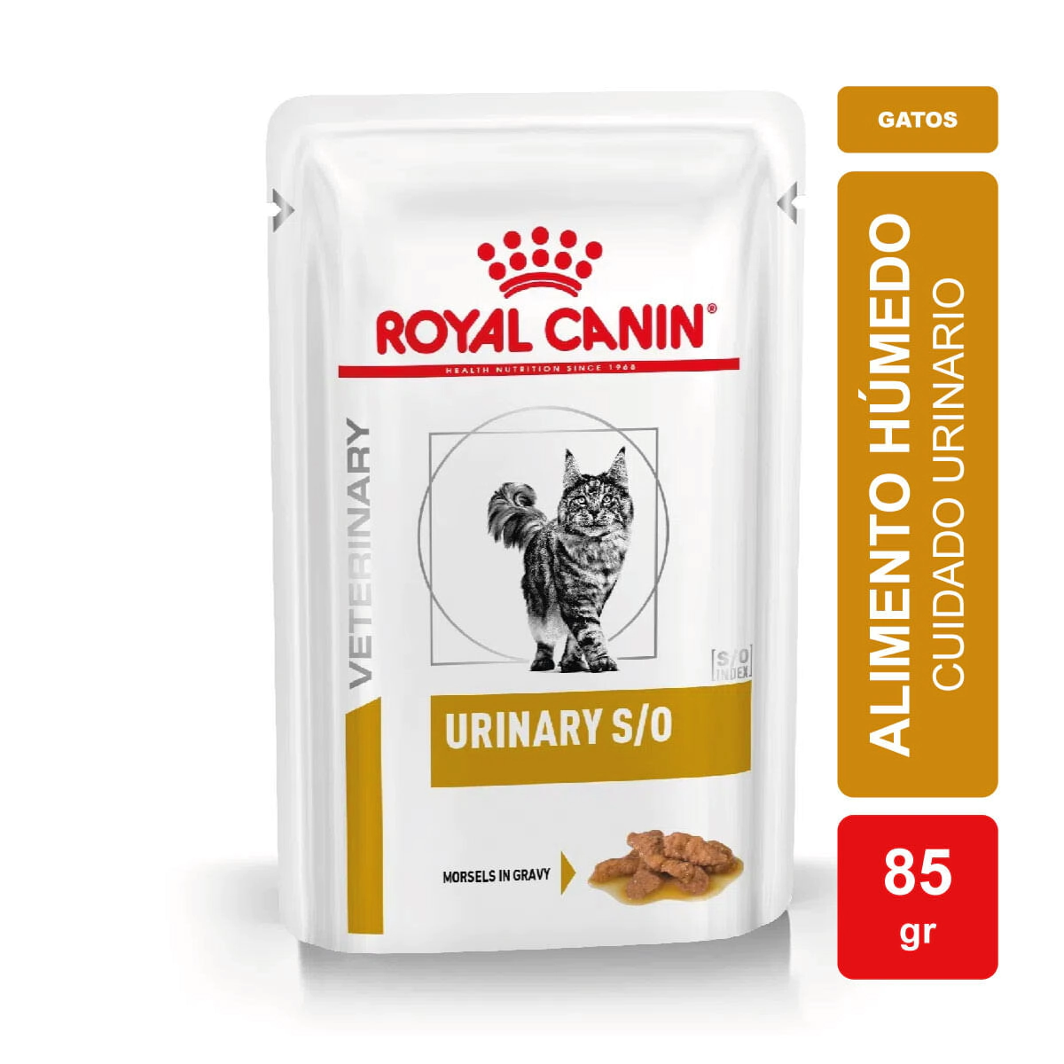 Alimento Royal Canin Gato Urinary S/O Cat Pouch x 85gr