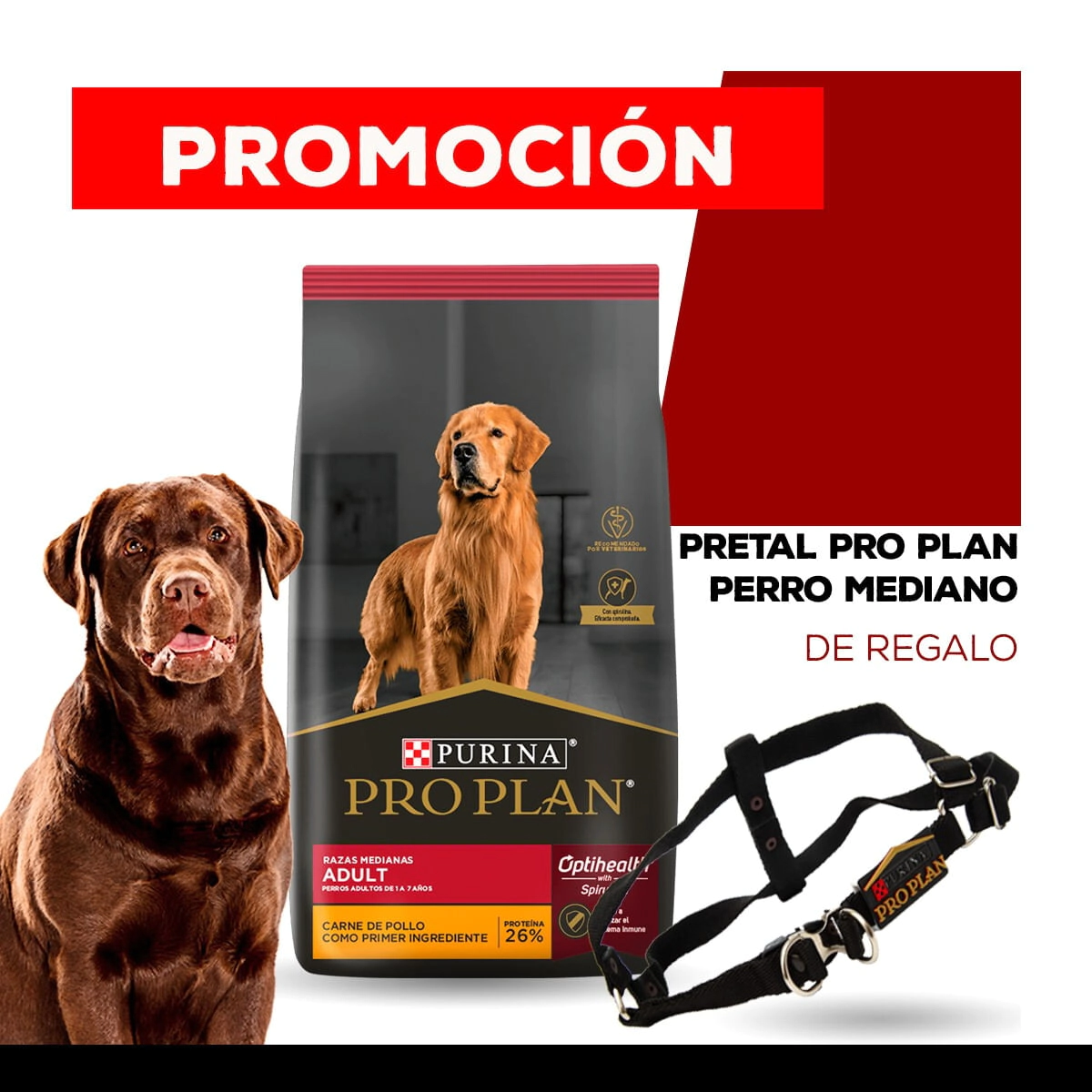 Alimento Purina Pro Plan Perro Adulto Raza Mediana x 15kg + PRETAL MEDIANO PRO PLAN DE REGALO