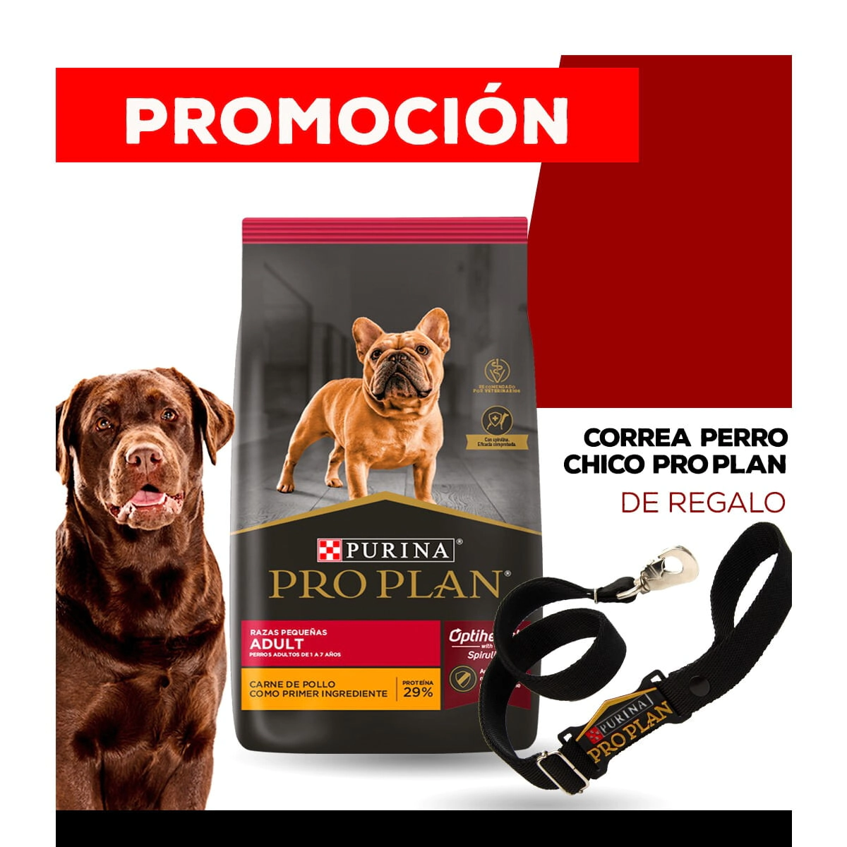 Alimento Purina Pro Plan Perro Adulto Raza Peque�a x 3kg + CORREA PERRO CHICO PRO PLAN DE REGALO