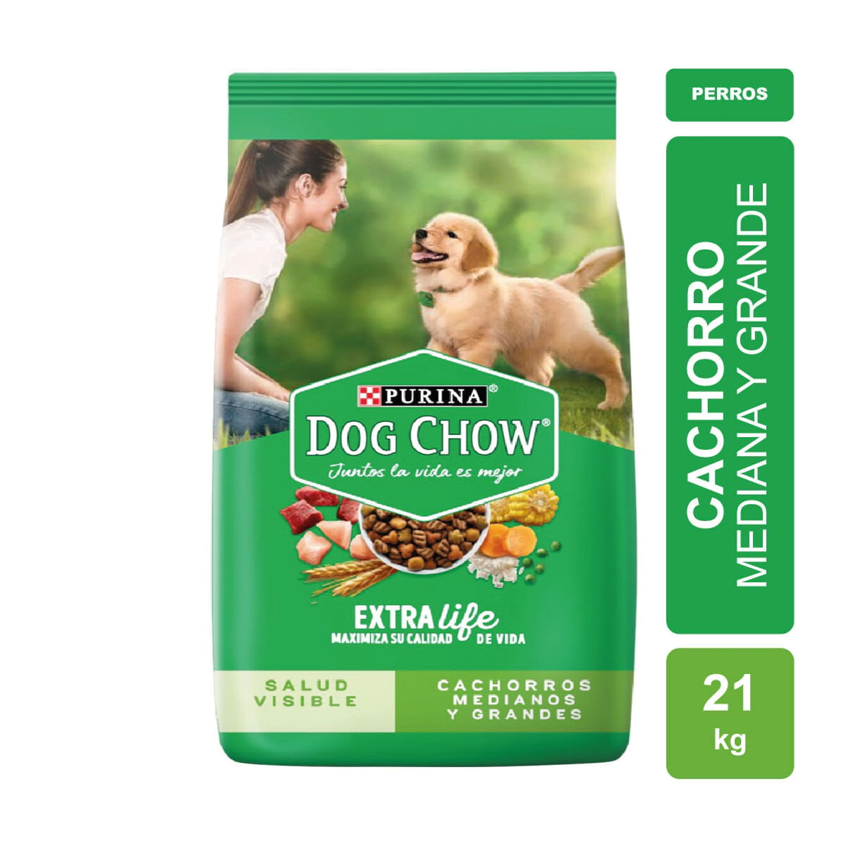 Alimento Purina Dog Chow Cachorro Gran Comienzo Raza Mediana y Grande x 21kg