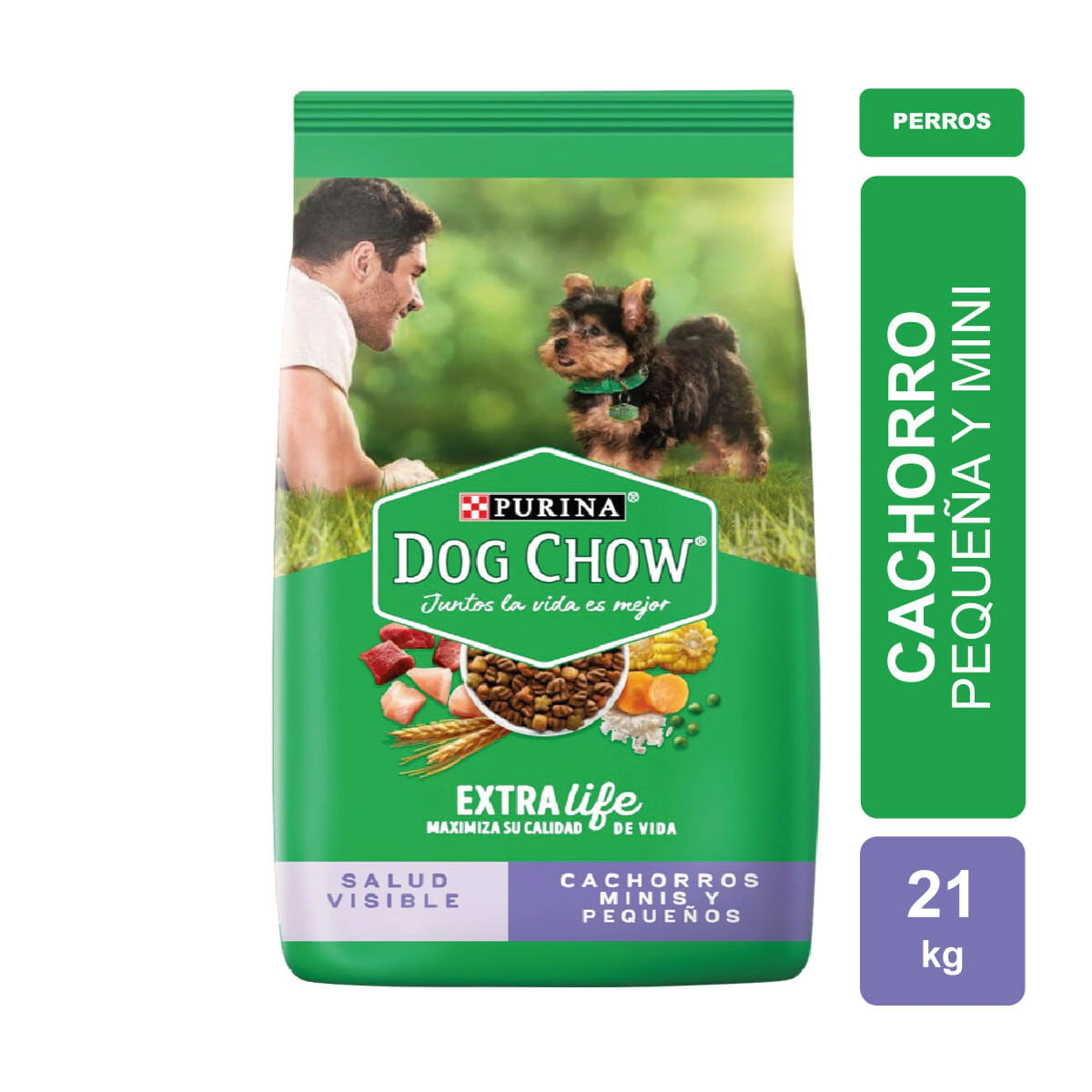 Alimento Purina Dog Chow Cachorro Gran Comienzo Raza Mini y Peque�a x 21kg.